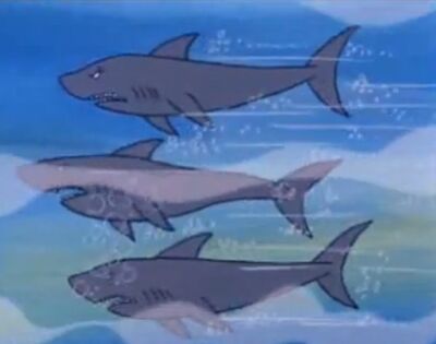 Killer Whales