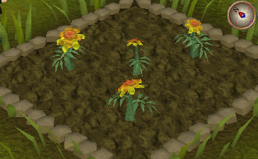 what are marigold flowers in eternium game for?