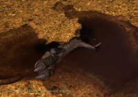 Big One foot