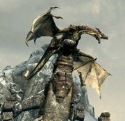 Drago su torre 2