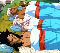 Injured Fairies in the camp