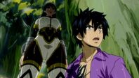 Ultear Descubre Gray
