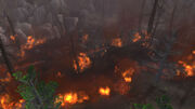 HumboldtConflagration