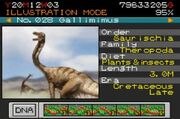 GallimimusParkBuilder