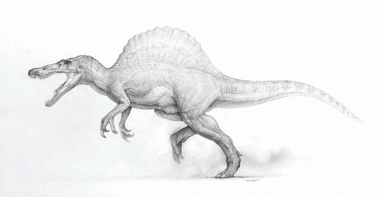 Spinosaurus-JP3-01.jpg