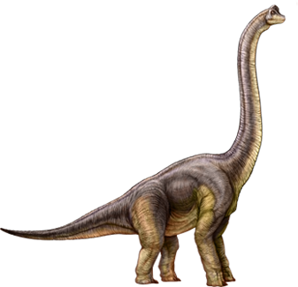 Brachiosaurus - Jurassic Park Wiki