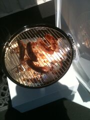 Bbq3