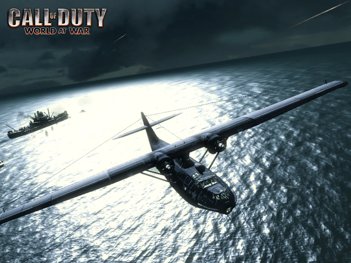 Call Of Duty Waw Black Cats