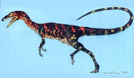 Segisaurus Jurassic Park Wiki