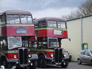 City of Oxford Motor Services AEC Regent III RTs at the Oxford Bus Museum