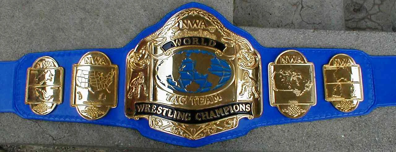 NWA World Tag Team Championship Pro Wrestling Wiki Divas, Knockouts