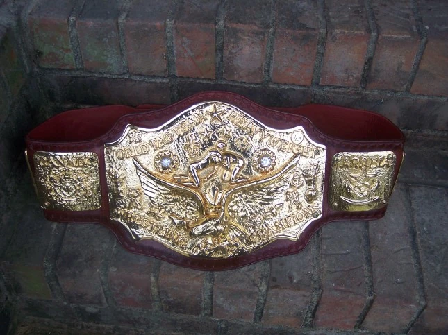 NWA World Tag Team Championship Pro Wrestling Wiki Divas, Knockouts
