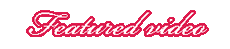 Fvid