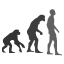 Humans