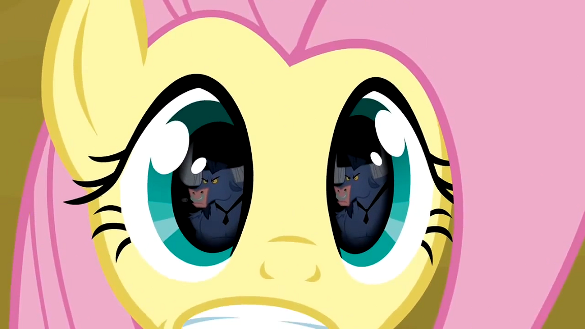 Image Fluttershy's eyes S02E19.png My Little Pony Friendship is