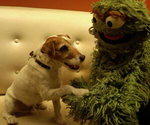 Uggie and Oscar