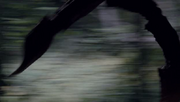 Vlcsnap-2012-03-10-11h45m46s4