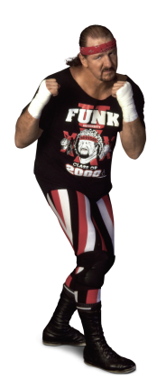 Terry_Funk_Full.png