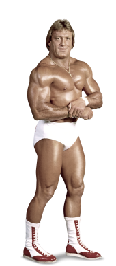 Paul_Orndorff_Full.png