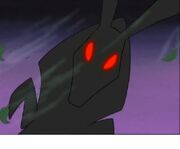 Black rabbit of inlé