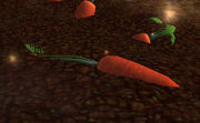 StolenCarrot