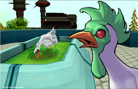 Chickens from Outer Space