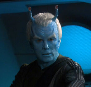 Focus on Andorians