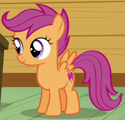 Scootaloo ID