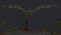 Flying an eagle