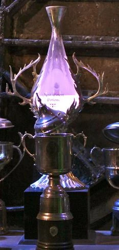 Most Potent Potions - Harry Potter Wiki