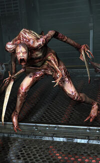 Slasher