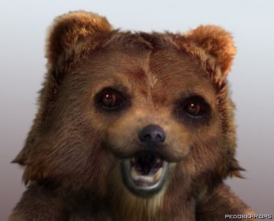 Pedobear-in-real-life.jpg