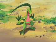 Ash Grovyle