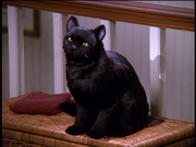 Salem