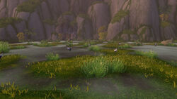 SingingMarshes