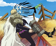Duval vs. Sanji