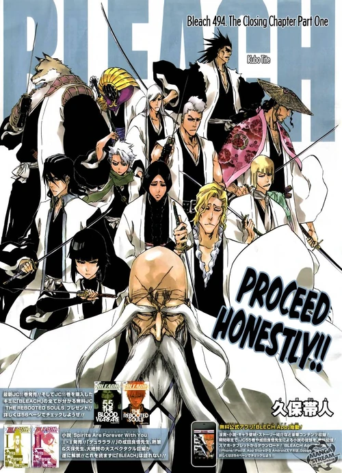 Gotei 13 Bleach Wiki Wikia