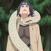 Anko262