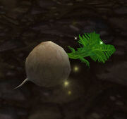 StolenTurnip