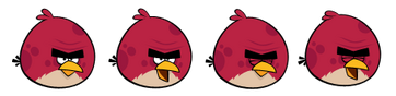 Terence spirites