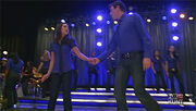 Finchelstl