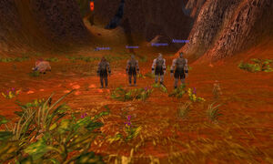 The members Of The Bravo Company