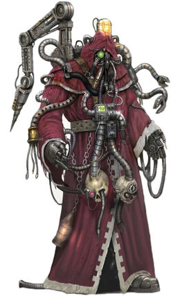 Magos Juris Konstantyn Ambolic