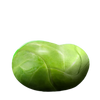 A Bertie Bott's Sprout-Flavoured Bean