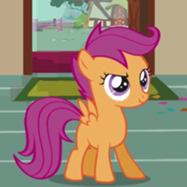 Scootaloo characters.png