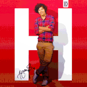 Icon 1D x