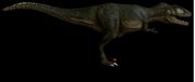 MRCarcharodontosaurus