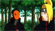 Tobi y10