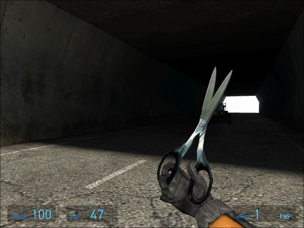 half life source weapons not showing