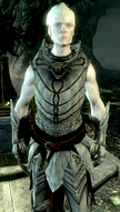 KnightPaladinGelebor